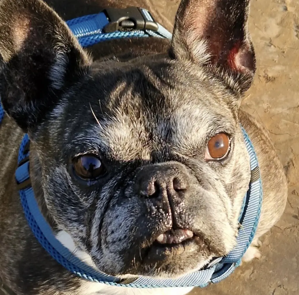 Bild von Lucky