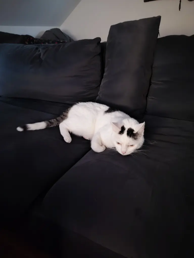 Bild von Penny