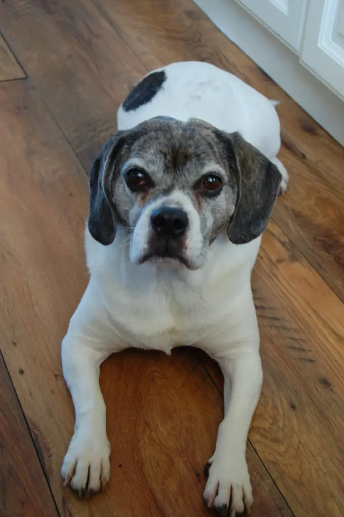 Bild von Lucky