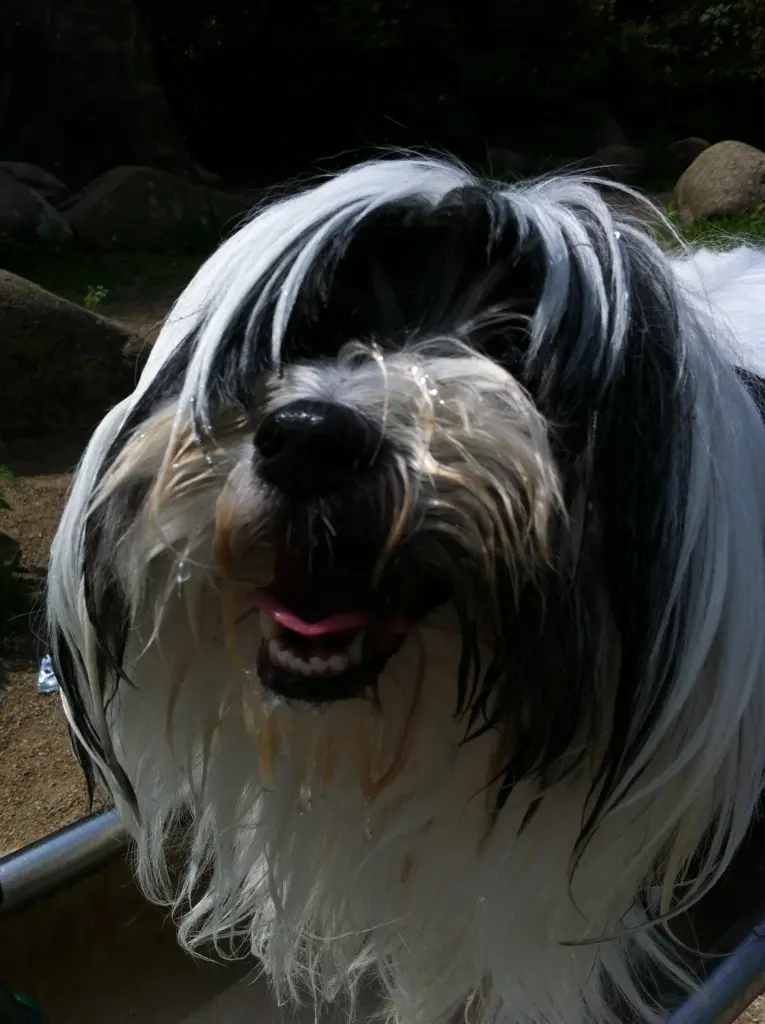 Condolence image of Doris