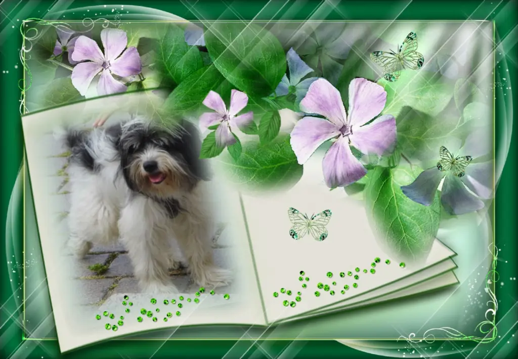 Condolence image of ❤Fur Liebe Lucky❤