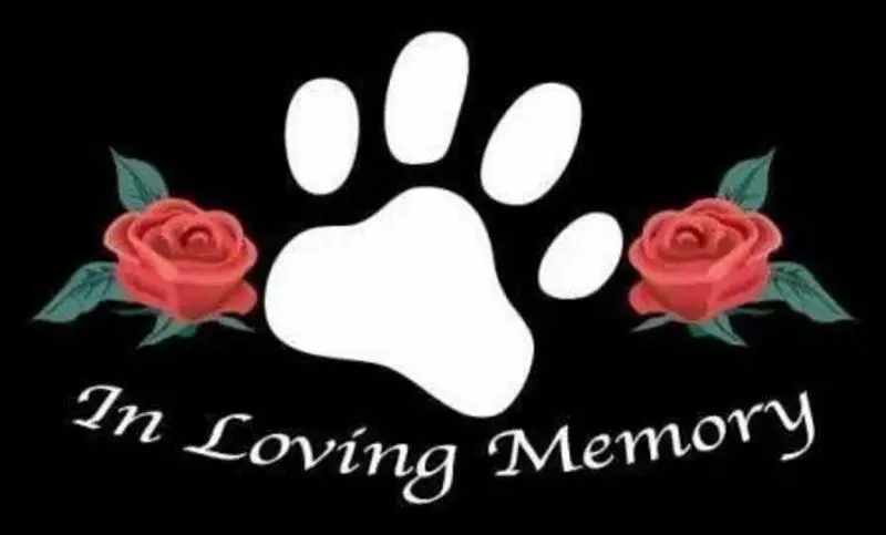 Condolence image of Unbekannt