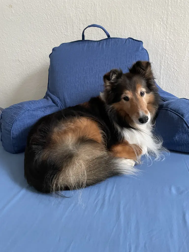 Auf dem Bett