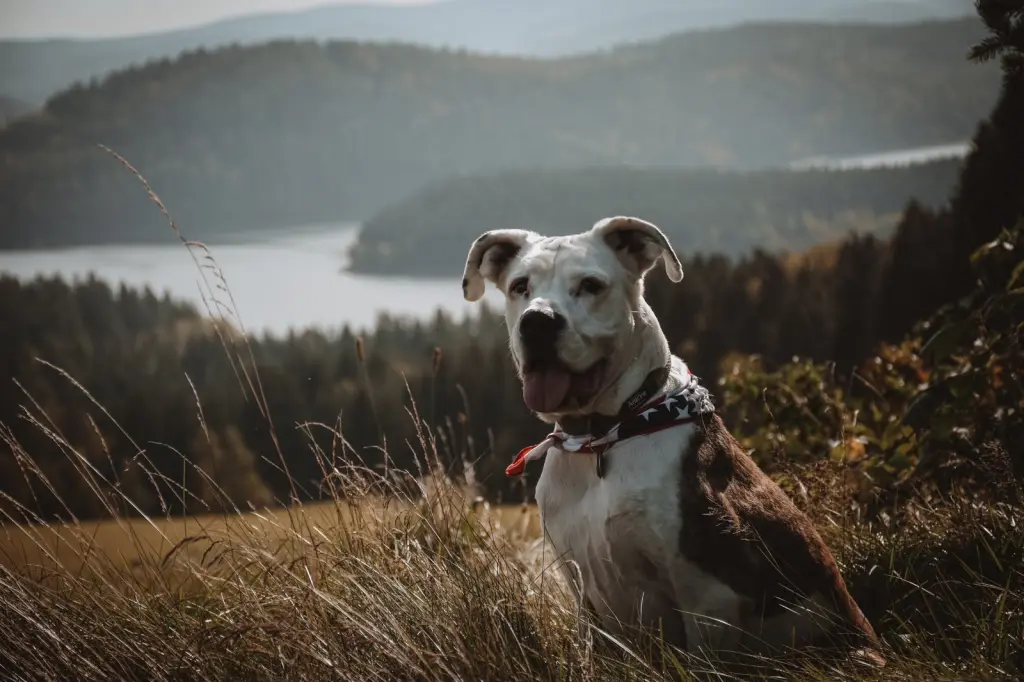 Bild von Kessy