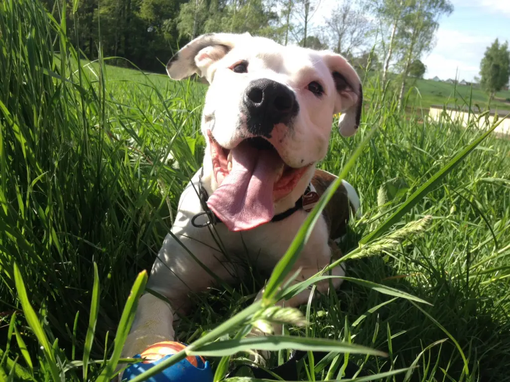 Bild von Kessy