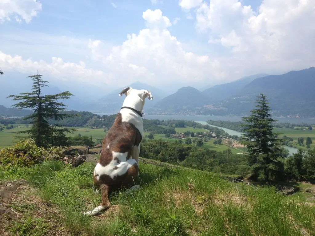 Bild von Kessy