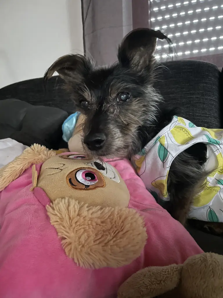 Unser Bubi