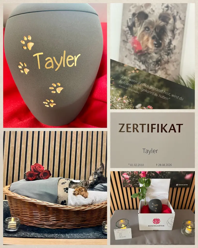 Wir werden dich niemals vergessen Tayler.