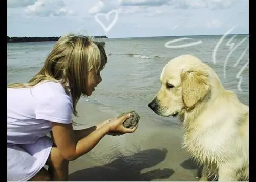 Image from Bungee und Shanty