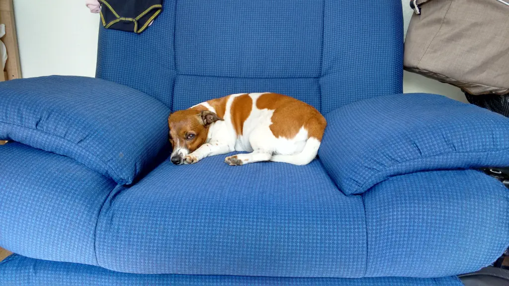 Andachtsbild von Natalie mit Maggy