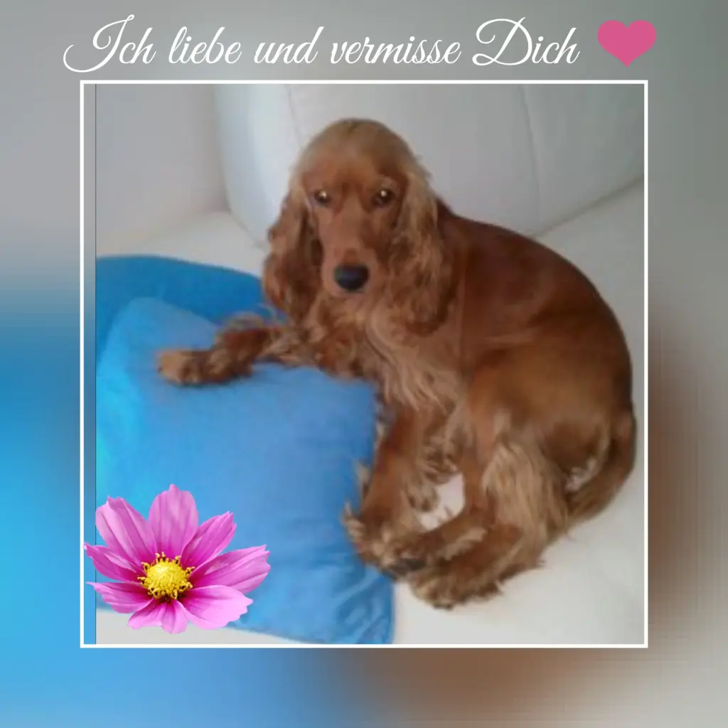 Andachtsbild von Jacqueline...