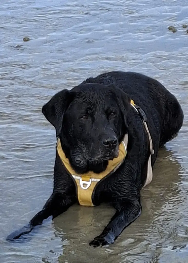 Urlaub am Meer- immer wieder toll!🥰