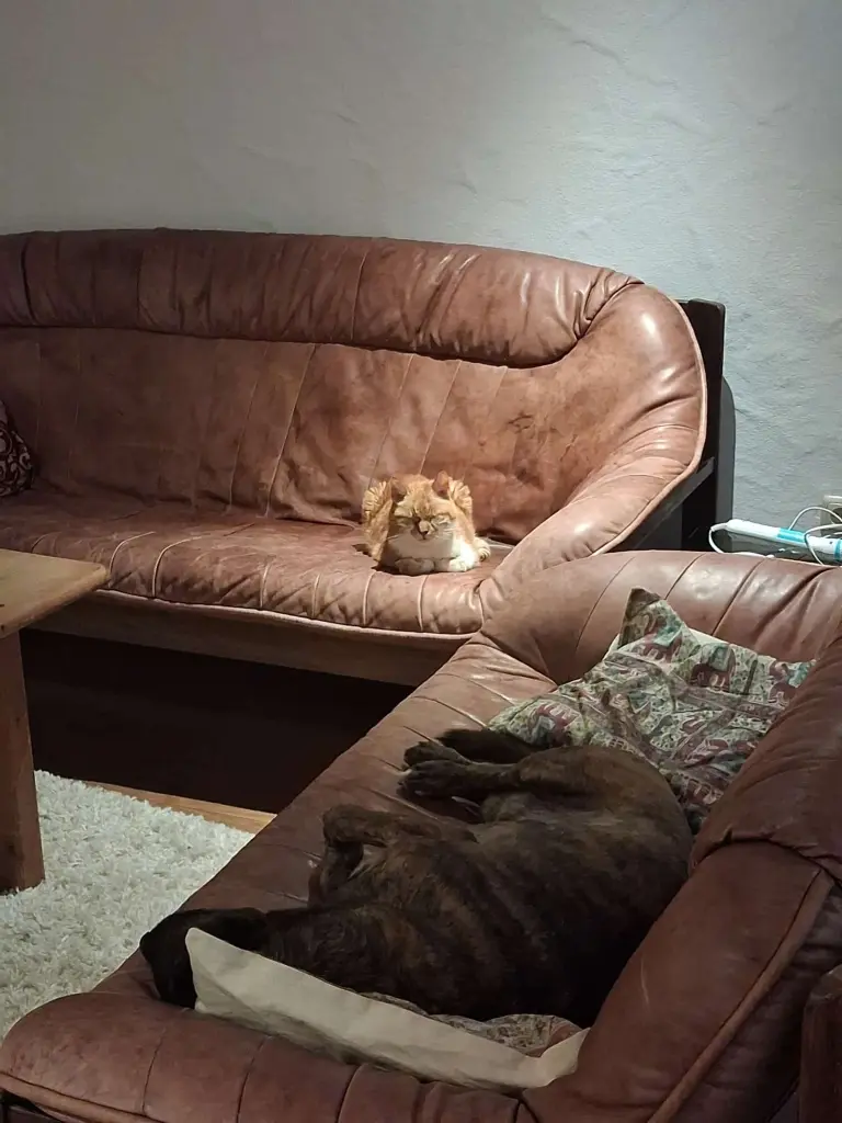 Bild von Filou