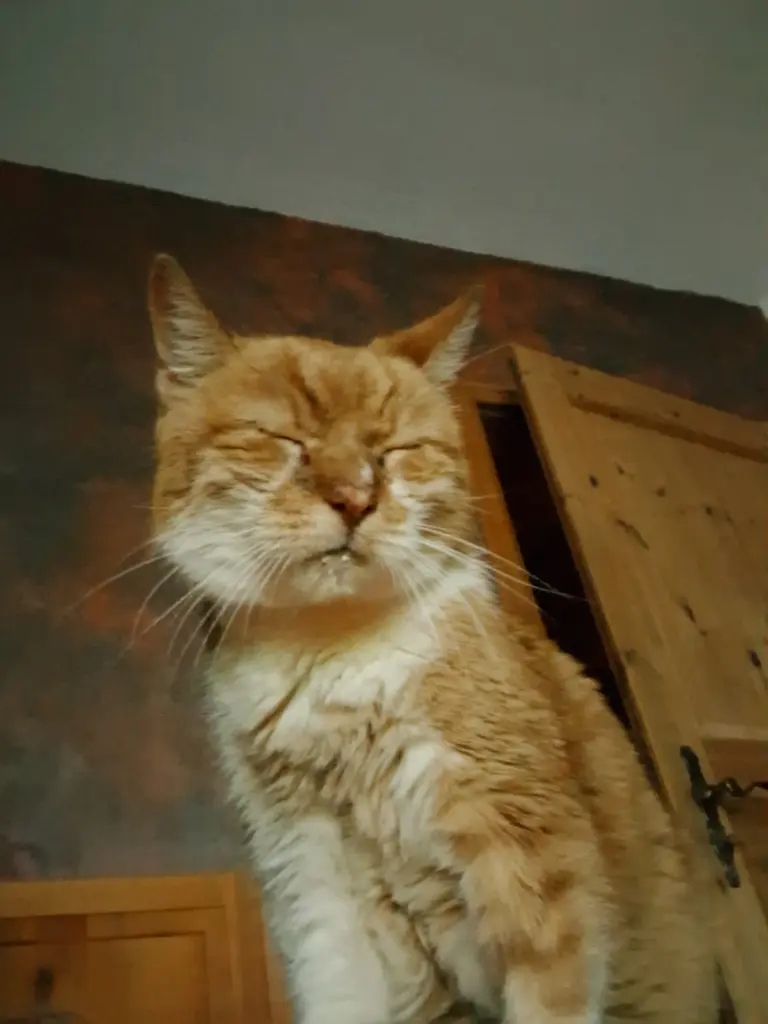 Bild von Filou