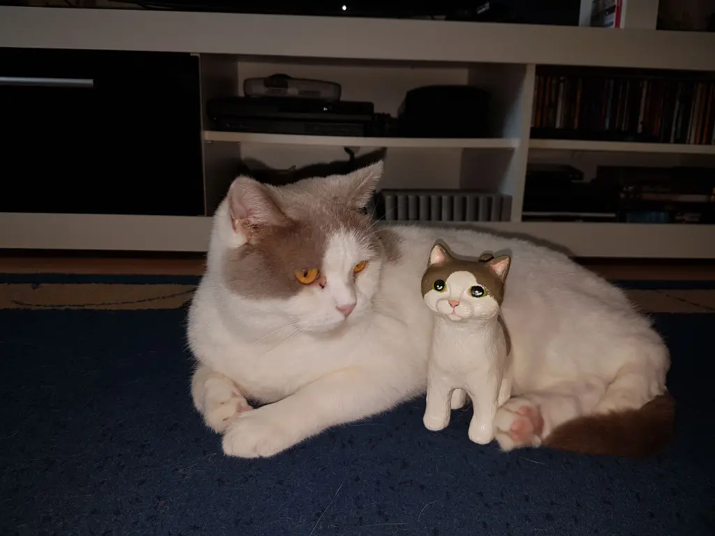 Bild von Maggie
