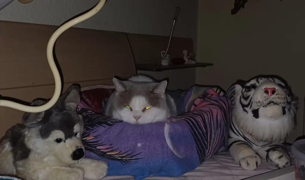 Bild von Maggie