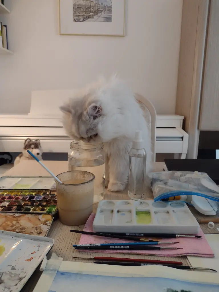 Bild von Gigi
