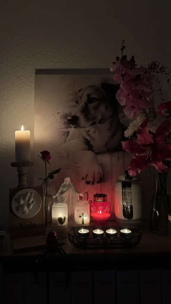 Bild von Nala