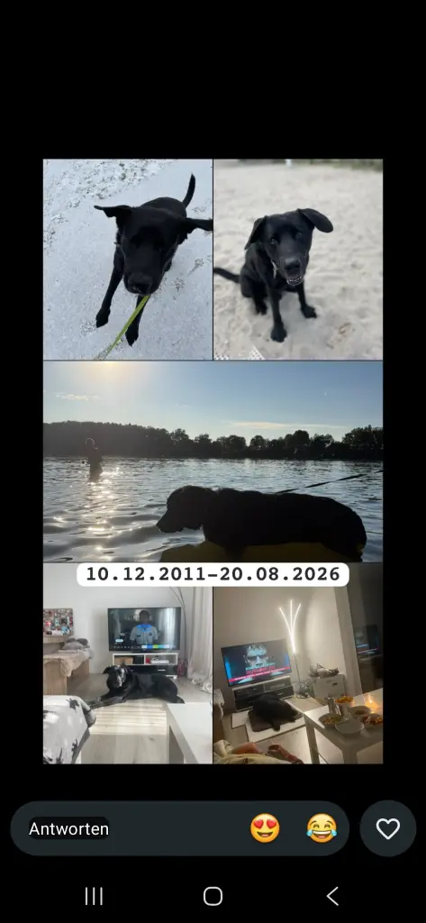 Bild von Murphy
