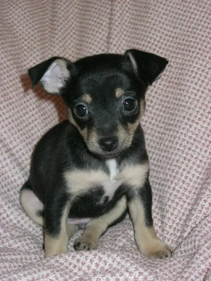 Bild von Sunny
