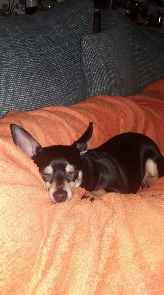 Bild von Sunny