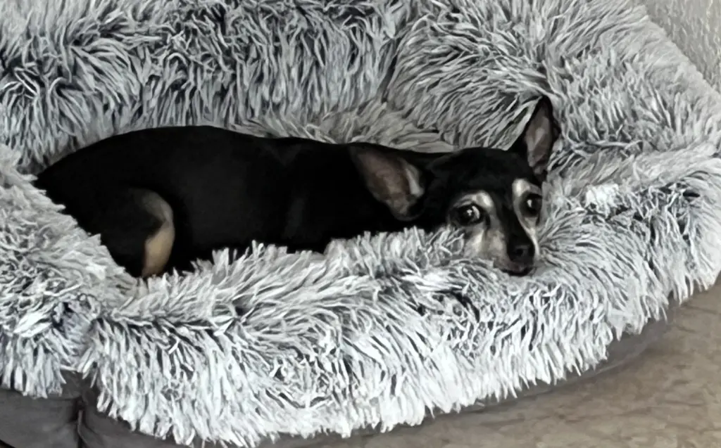 Bild von Sunny