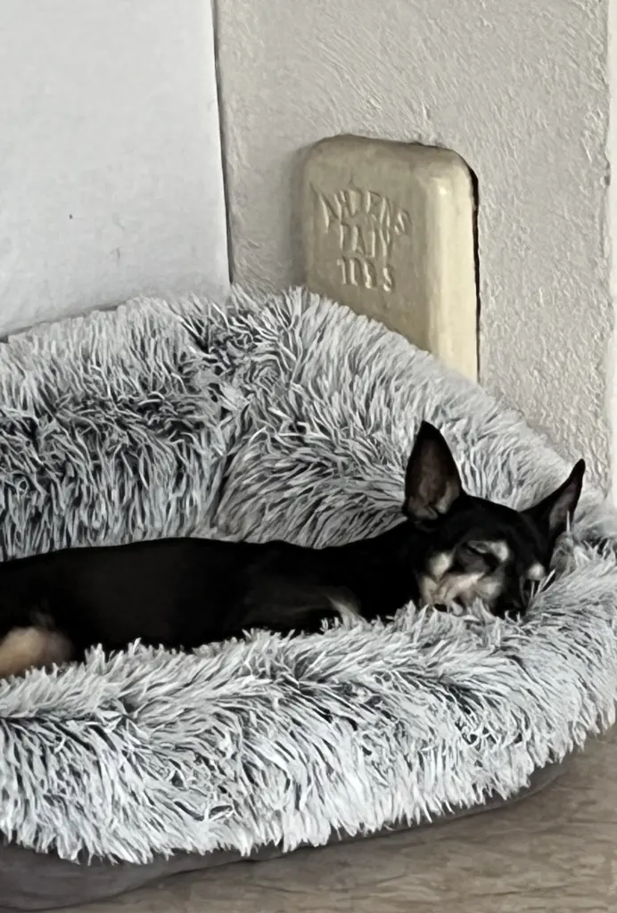 Bild von Sunny