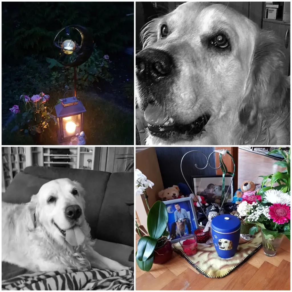 Condolence image of Andreas