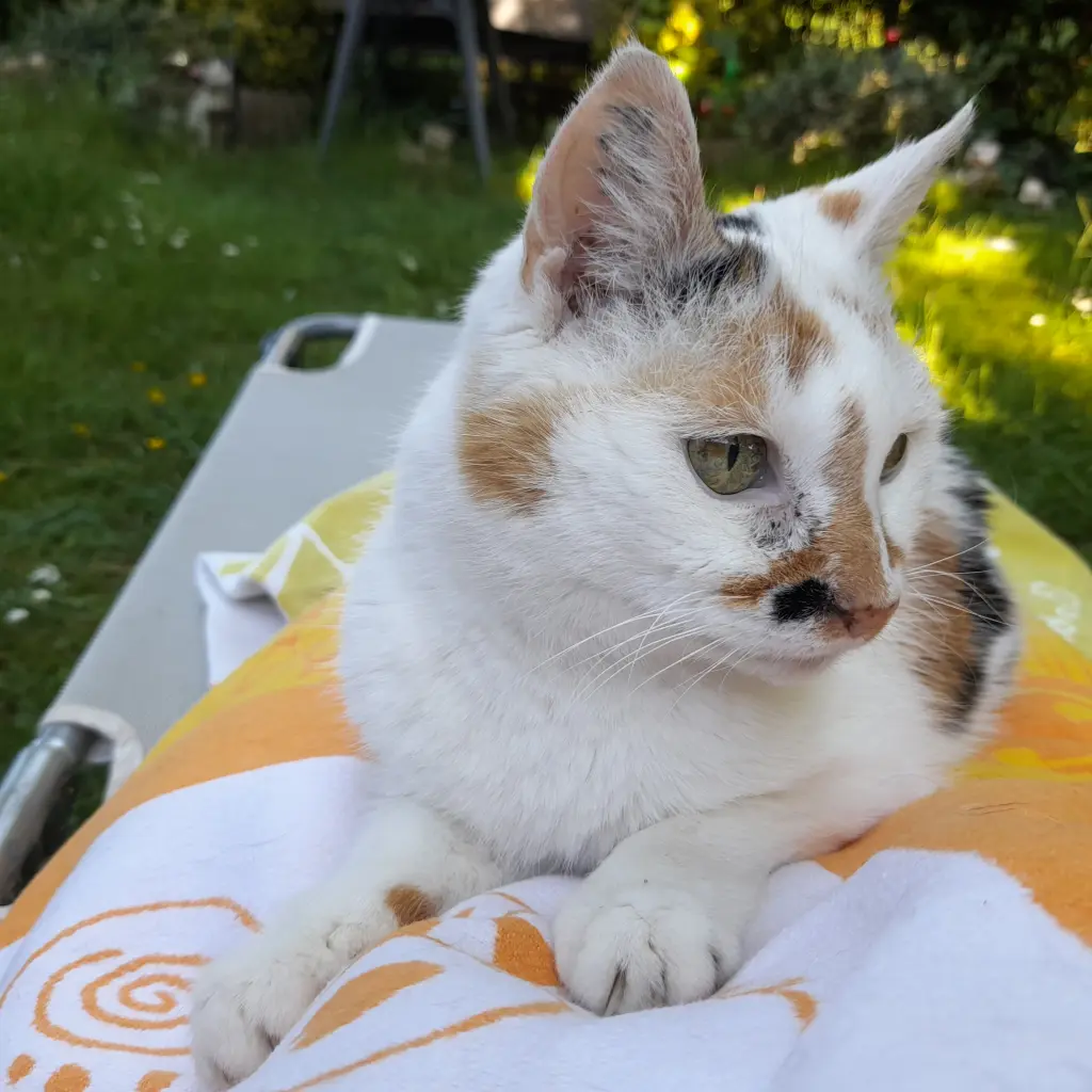 Bild von Sandy