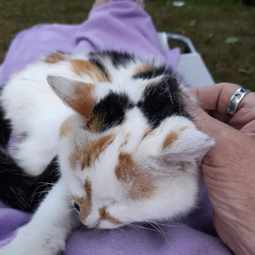 Image from Sandy