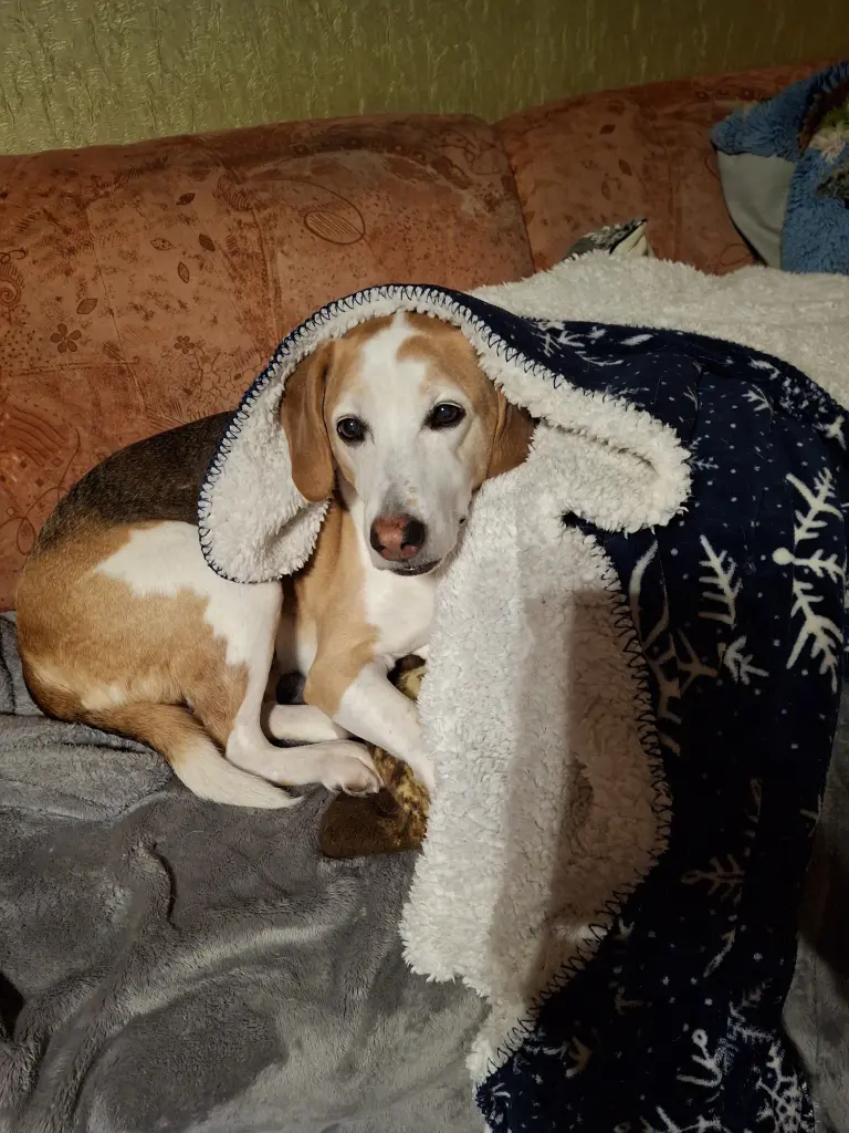 Bild von Lucky