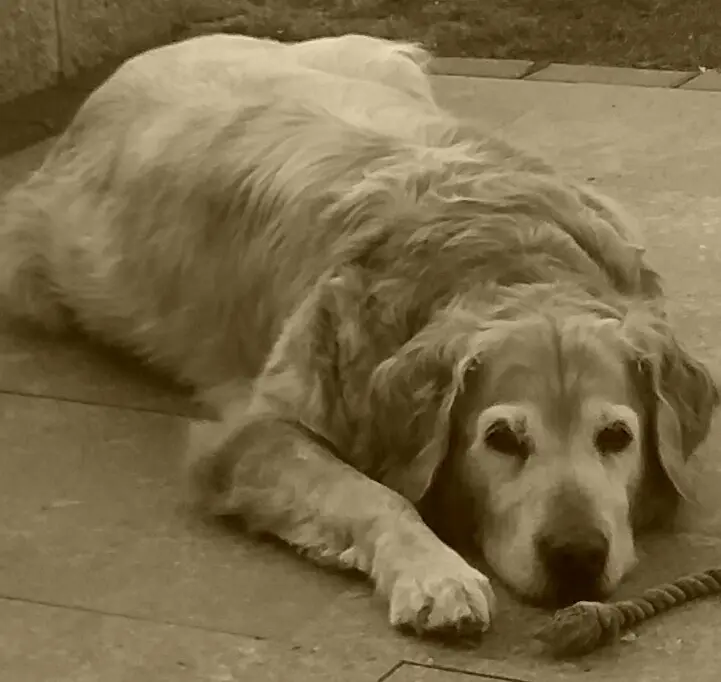 Andachtsbild von Micha mit Cäsar im Herzen