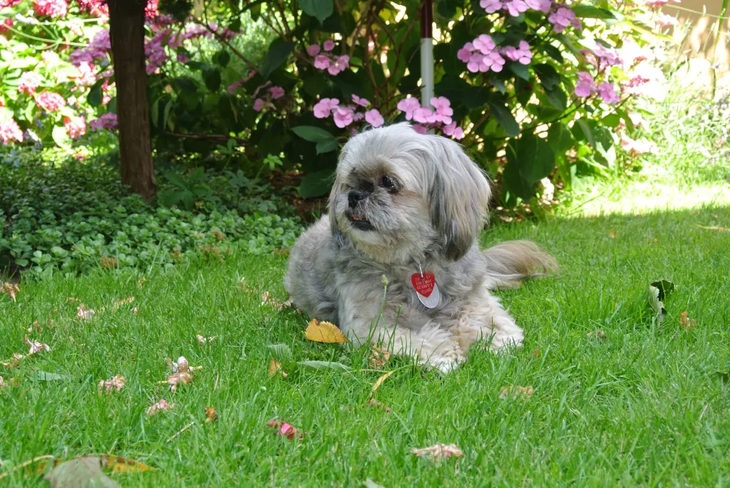 Condolence image of Kathrin