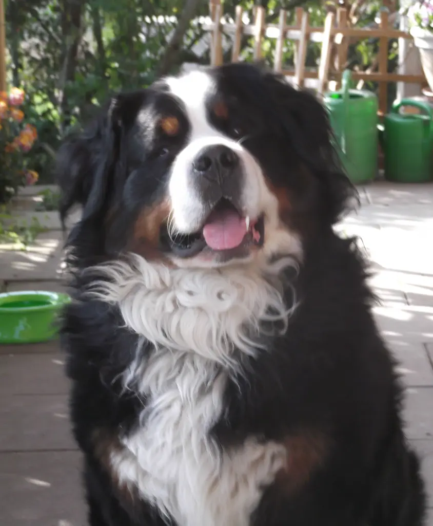 Bild von Carl