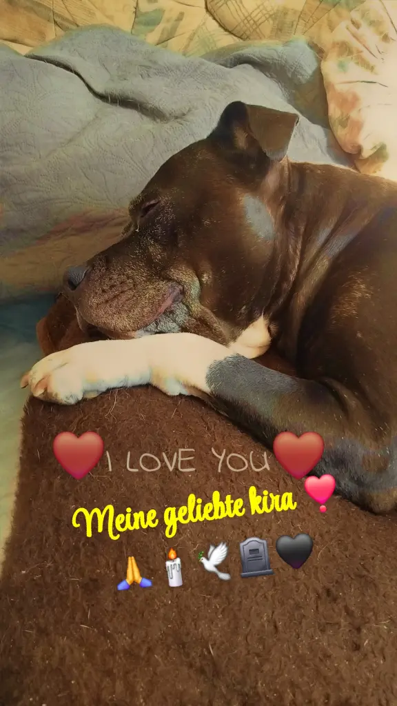 Bild von kira