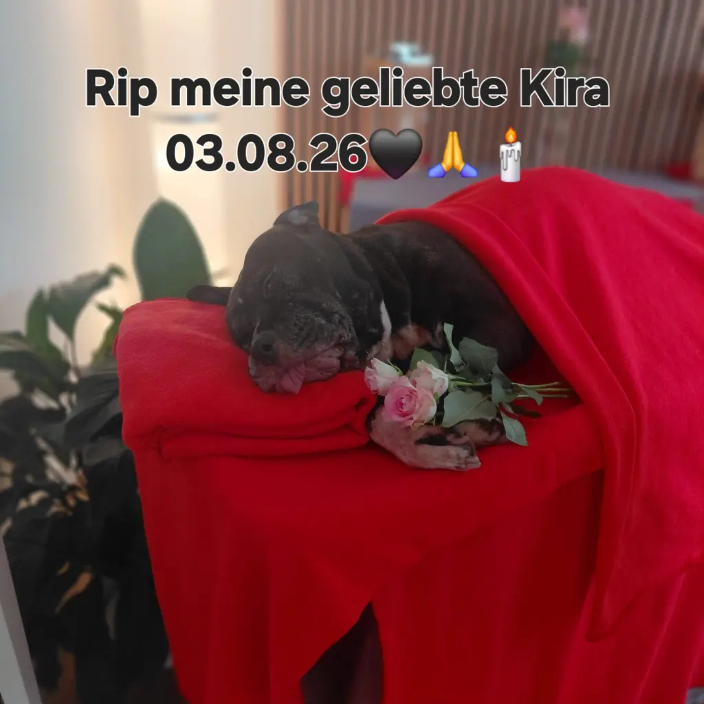 Bild von kira