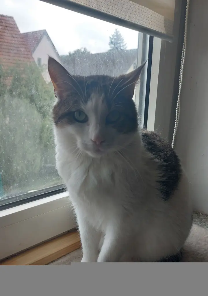 Bild von Rick