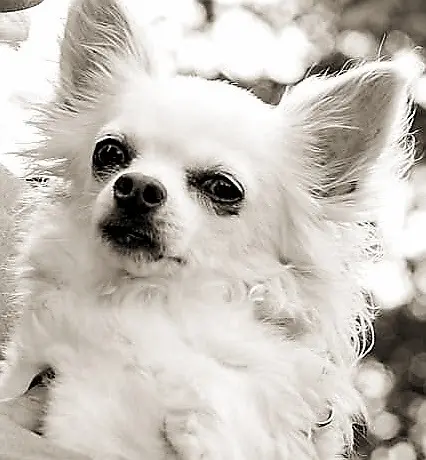 Condolence image of Michaela