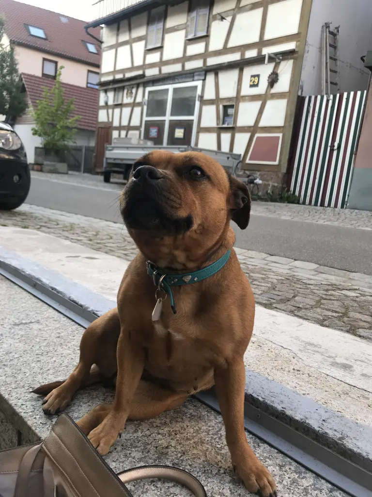 Bild von Diva