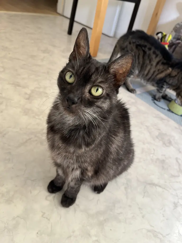Bild von Samantha