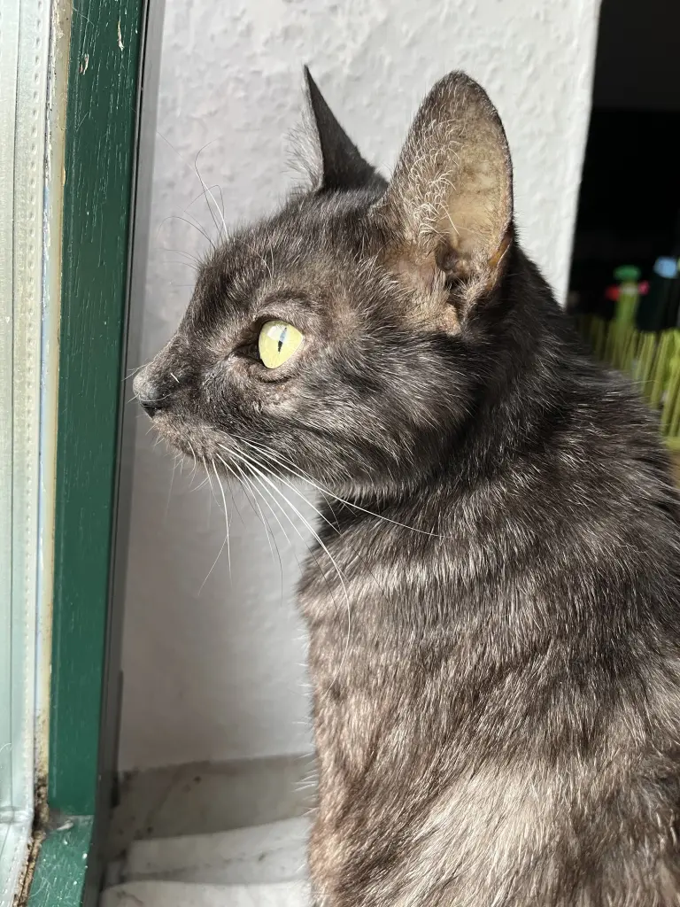 Bild von Samantha