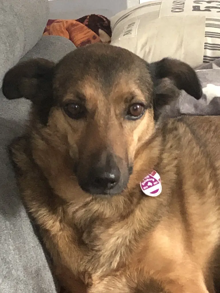 Bild von Bella