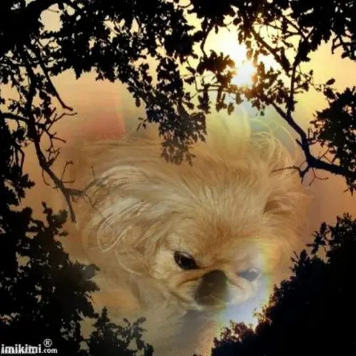 Image from ? meine rassige und wunderbare Sina ?