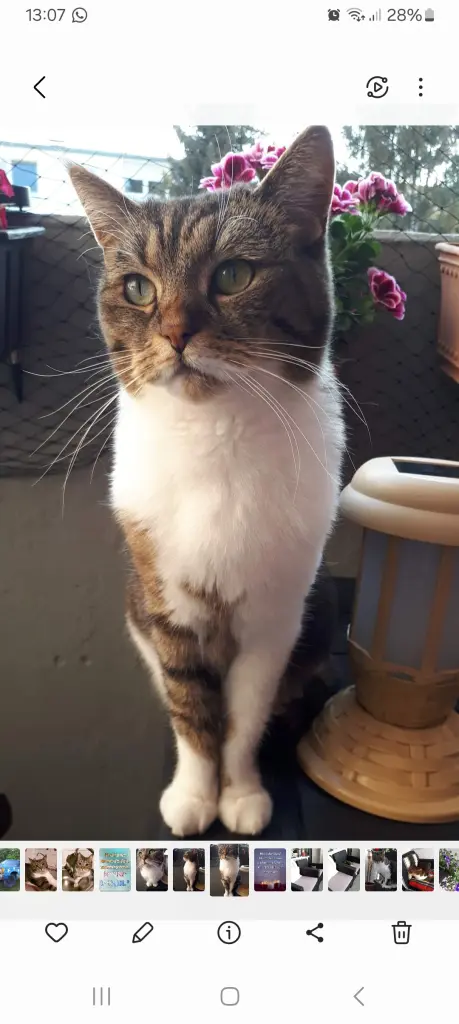 Bild von Penny