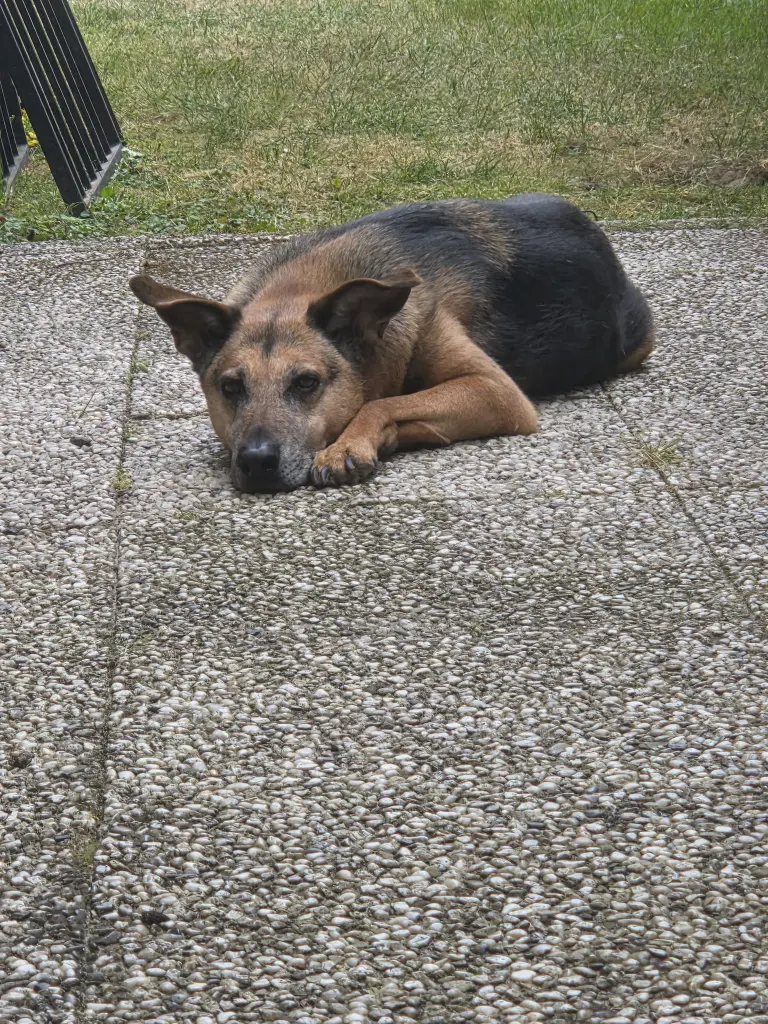 Andachtsbild von Katrin