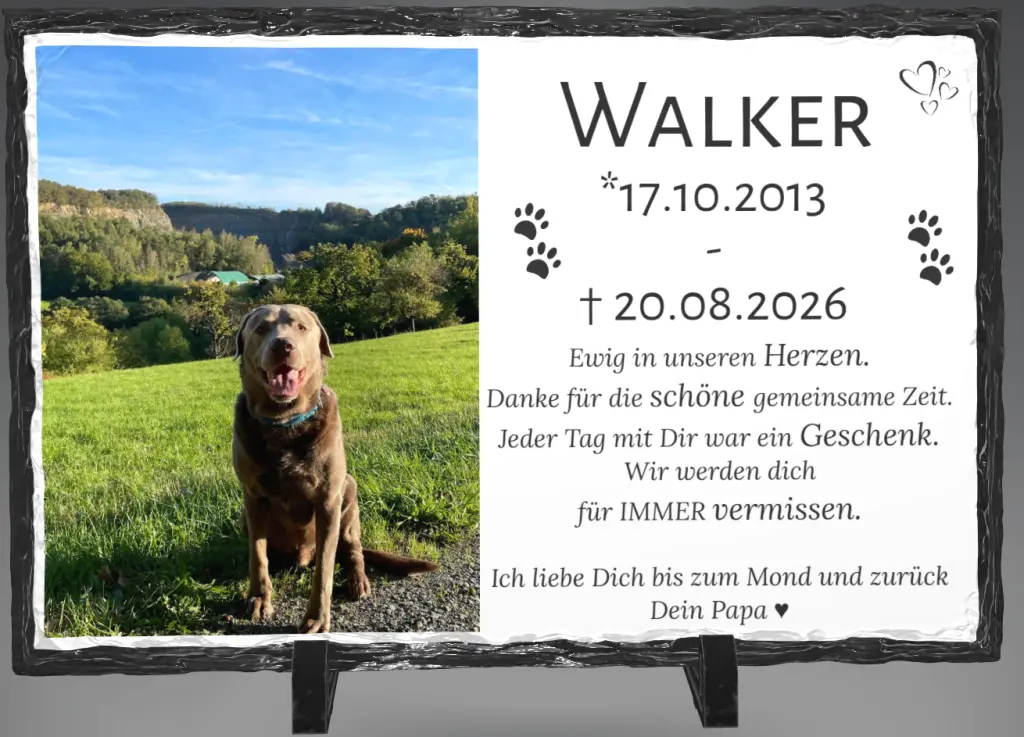 Bild von Walker