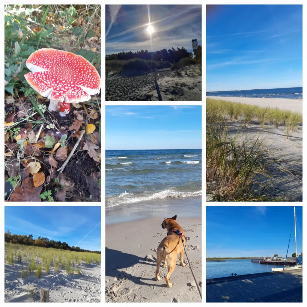 Bild von Gida