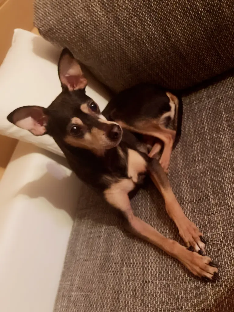 Bild von Lucky