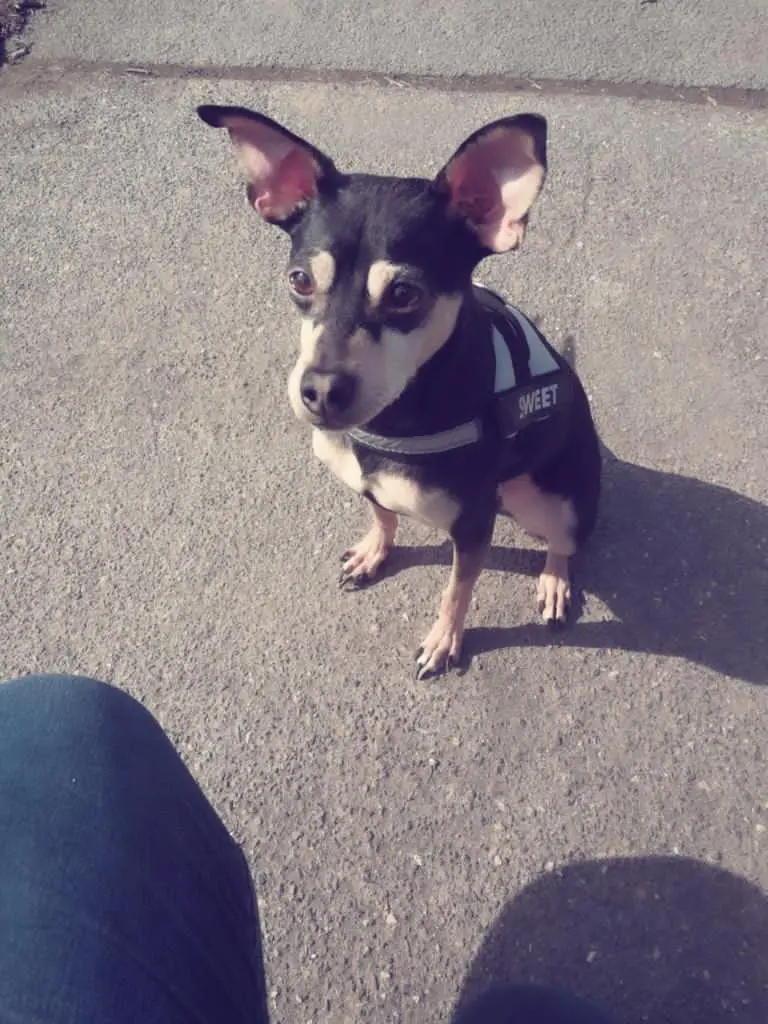 Bild von Lucky