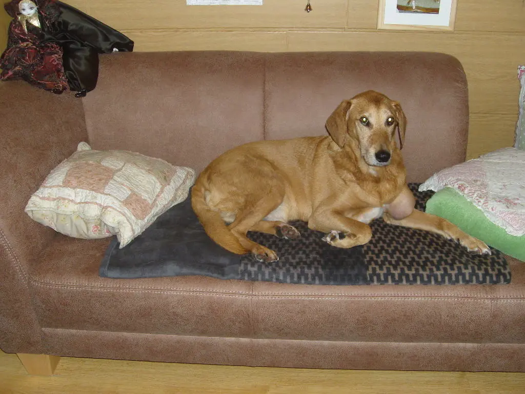 Andachtsbild von Marlies mit Pietsch im Herzen